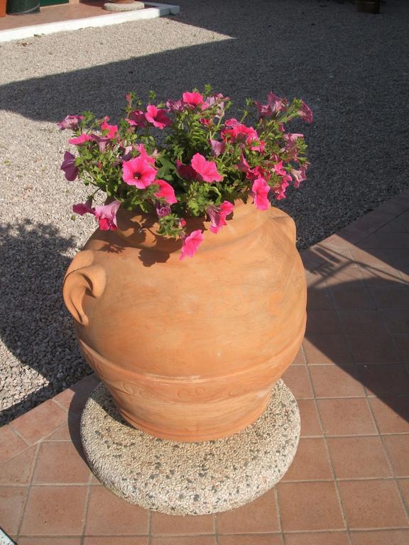Borgo Montenero La Locanda Country House المظهر الخارجي الصورة